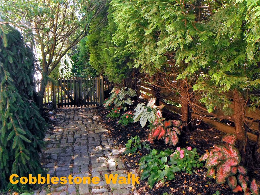 Sheppard'S Place Bed & Breakfast Narragansett Esterno foto